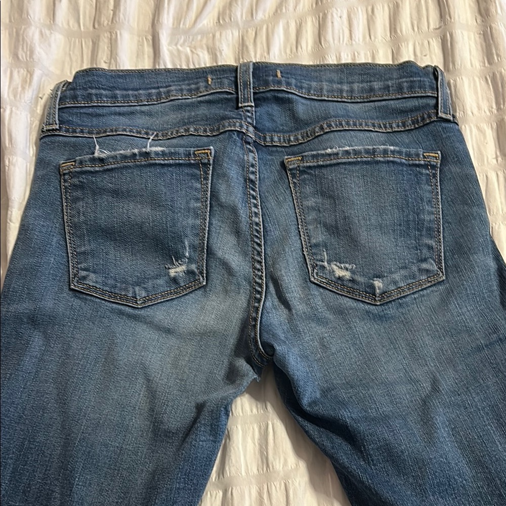 Flying Monkey - image 4